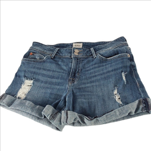 Hudson Ripped Denim Blue Shorts 28